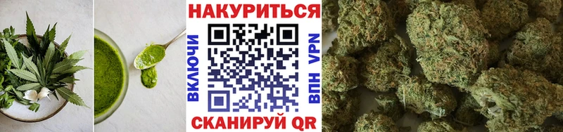 Cannafood конопля  Новоржев 
