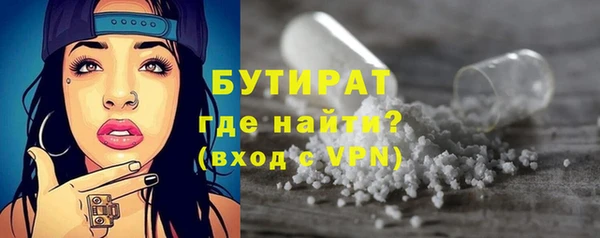 МДПВ Бородино