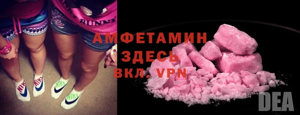 МДПВ Бородино
