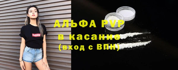 МДПВ Бородино