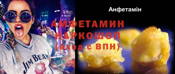 МДПВ Бородино