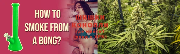 дурь Богданович