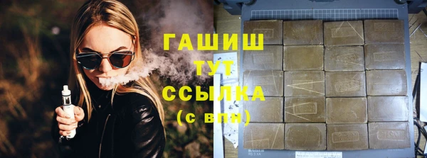 МДПВ Бородино