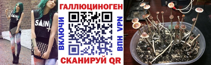 Галлюциногенные грибы ЛСД  omg   Новоржев 